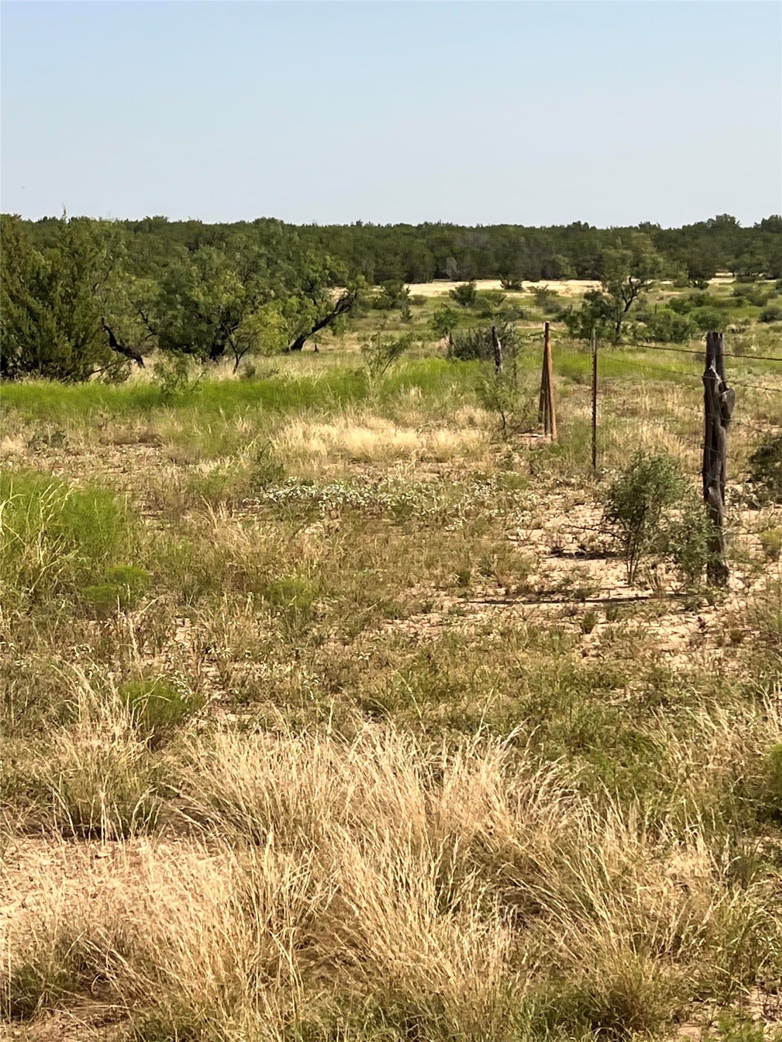 31.21 acres in Concho County gallery image 3