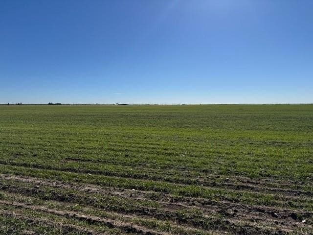 69.13 acres in Taylor County gallery image 3