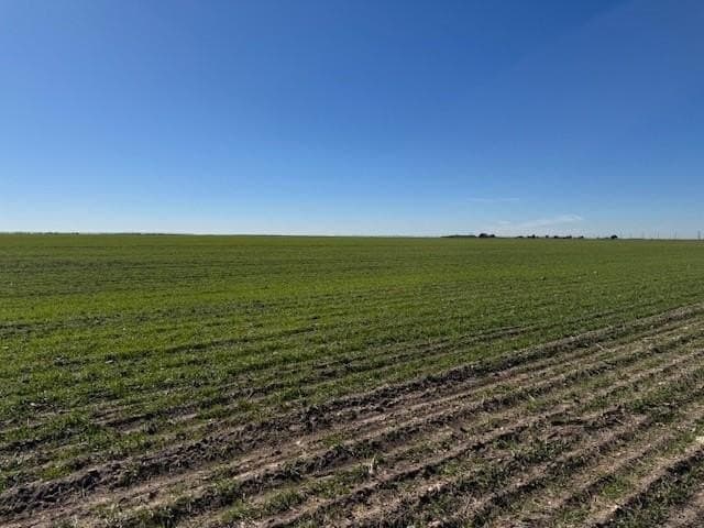 69.13 acres in Taylor County featured view