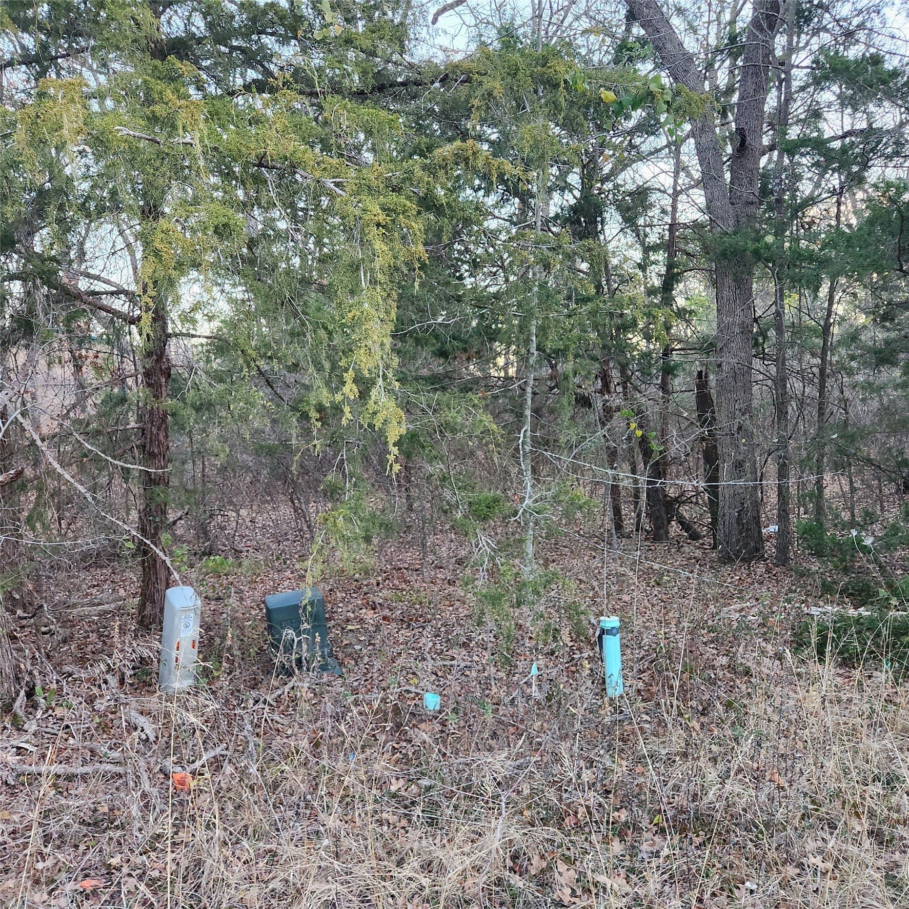 0.15 acres in Hunt County gallery image 3