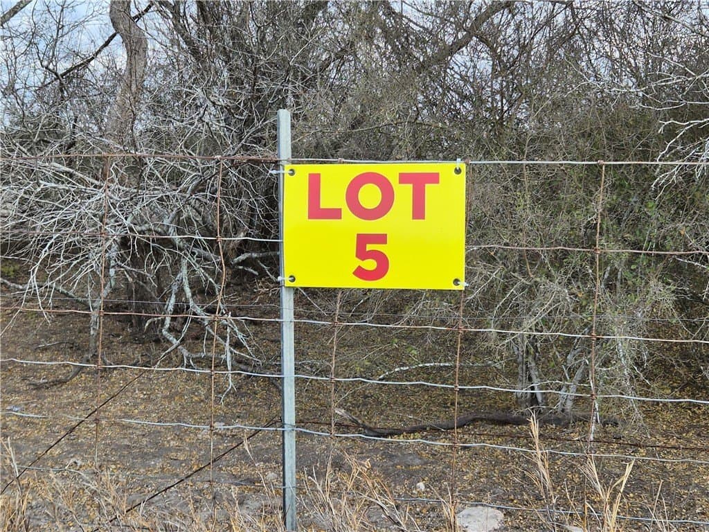 2.5 acres in Kleberg County gallery image 2