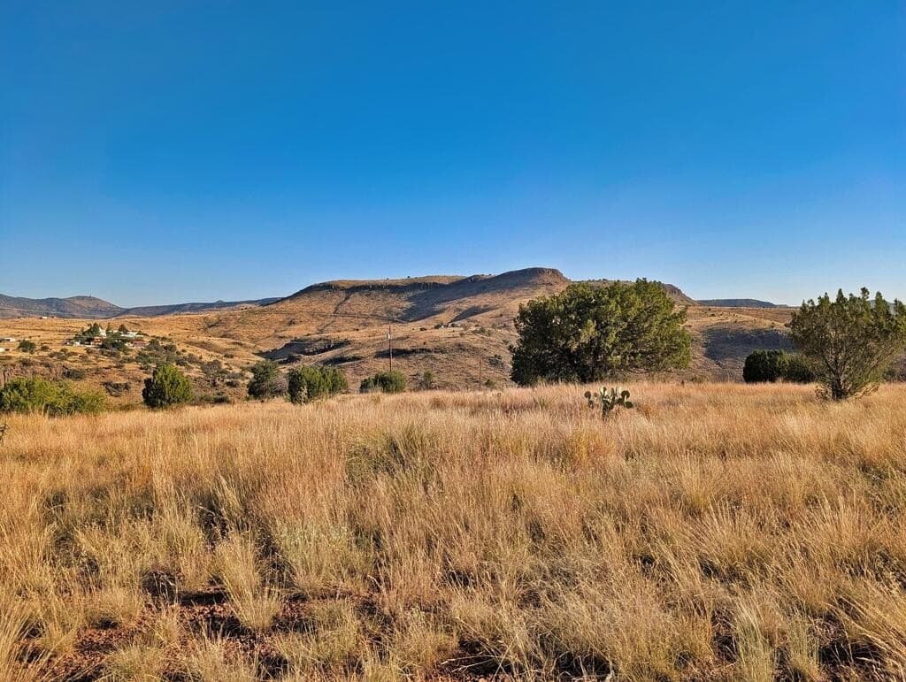 5 acres in Jeff Davis County - photo 5
