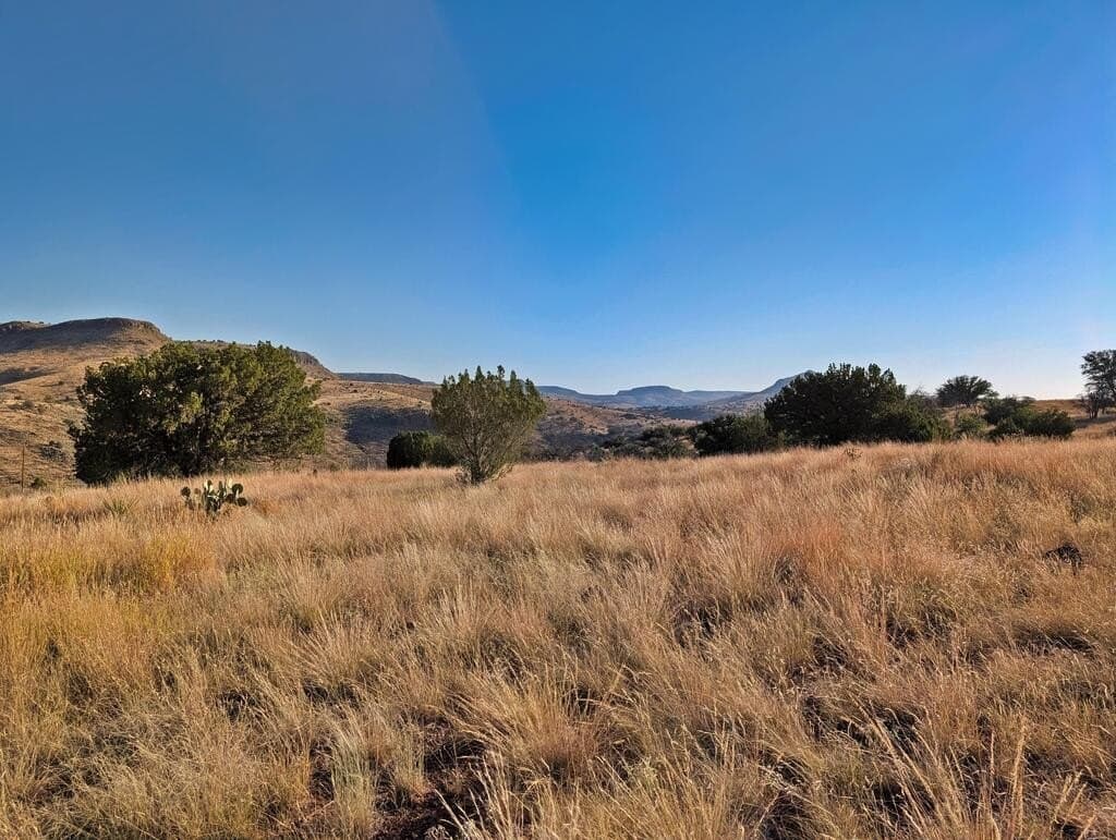 5 acres in Jeff Davis County - photo 6