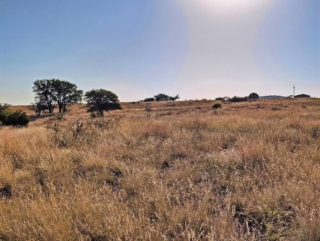 5 acres in Jeff Davis County - photo 13