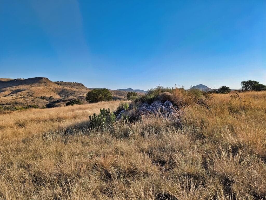 5 acres in Jeff Davis County - photo 4