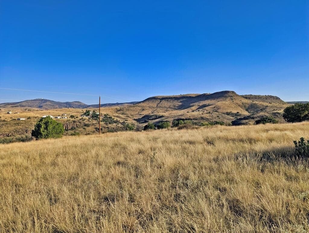 5 acres in Jeff Davis County - photo 7