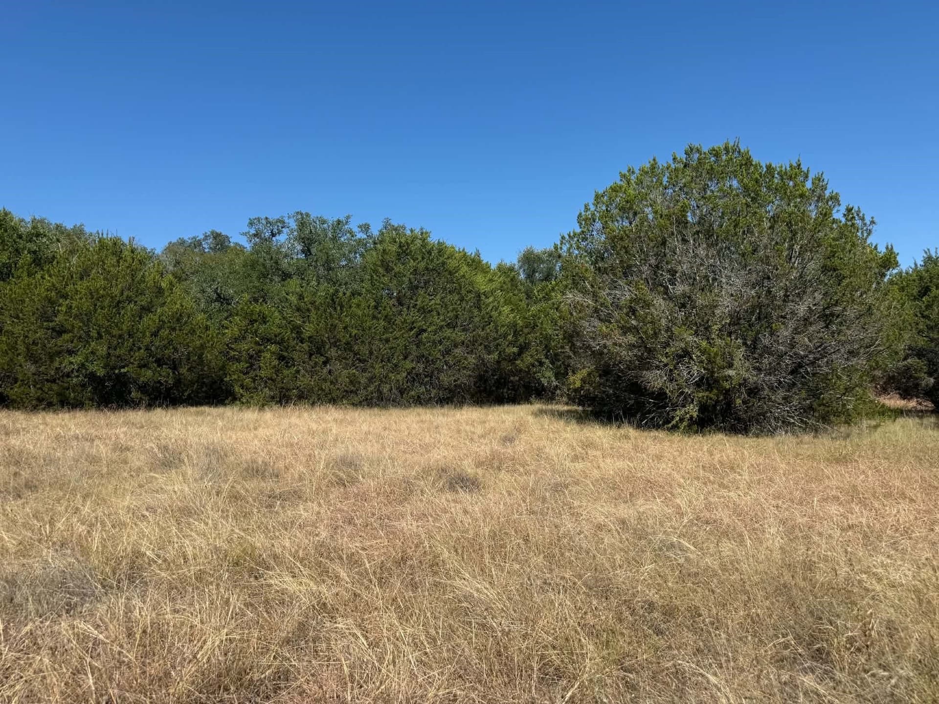 10 acres in Bosque County - photo 9