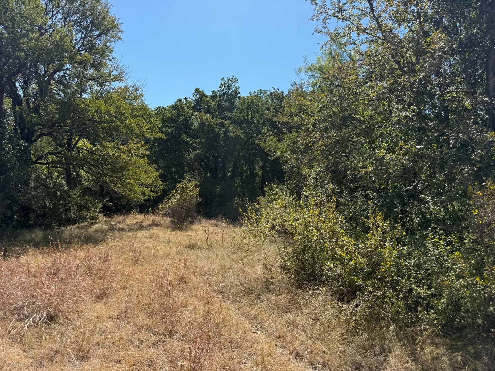 10 acres in Bosque County - photo 16
