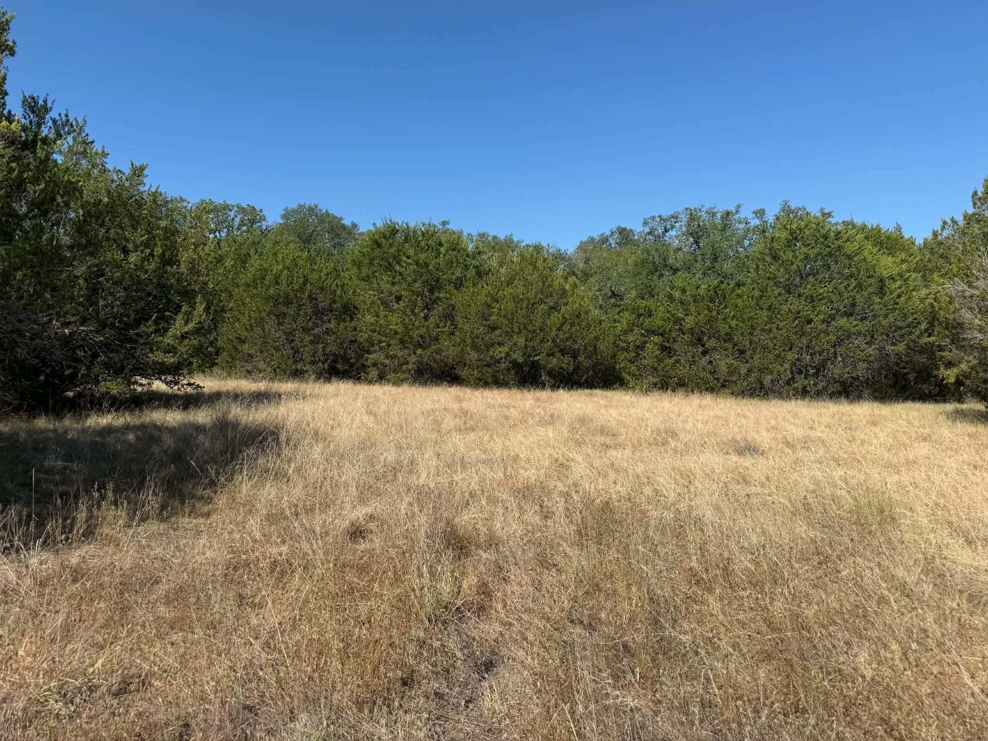 10 acres in Bosque County - photo 15