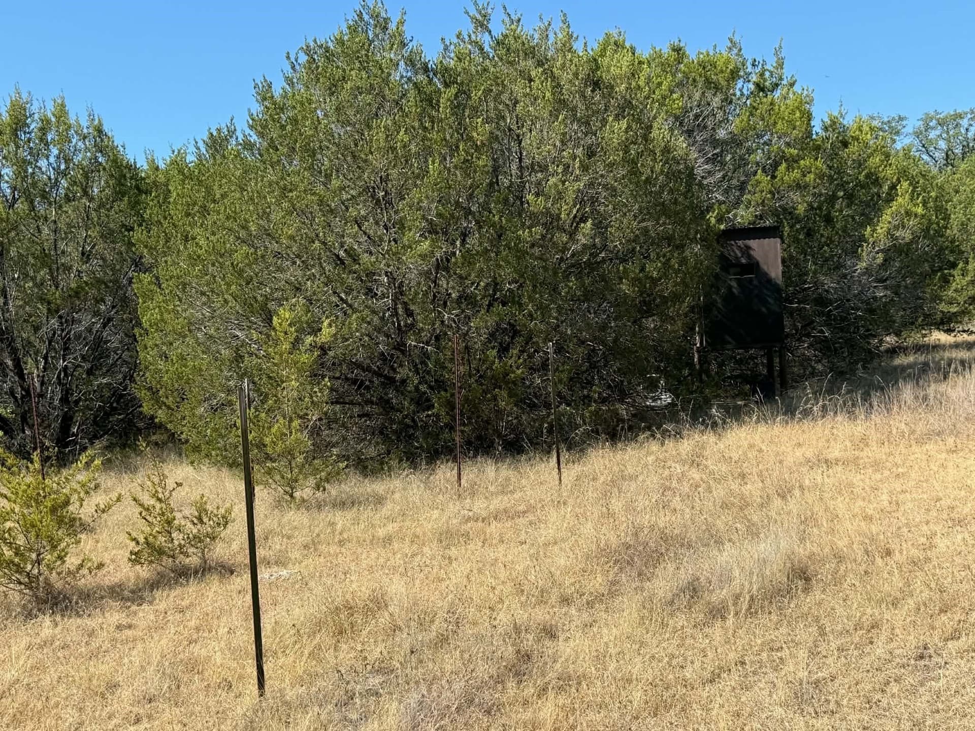 10 acres in Bosque County - photo 5