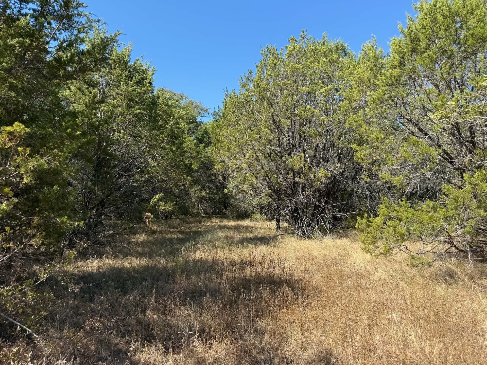 10 acres in Bosque County - photo 11