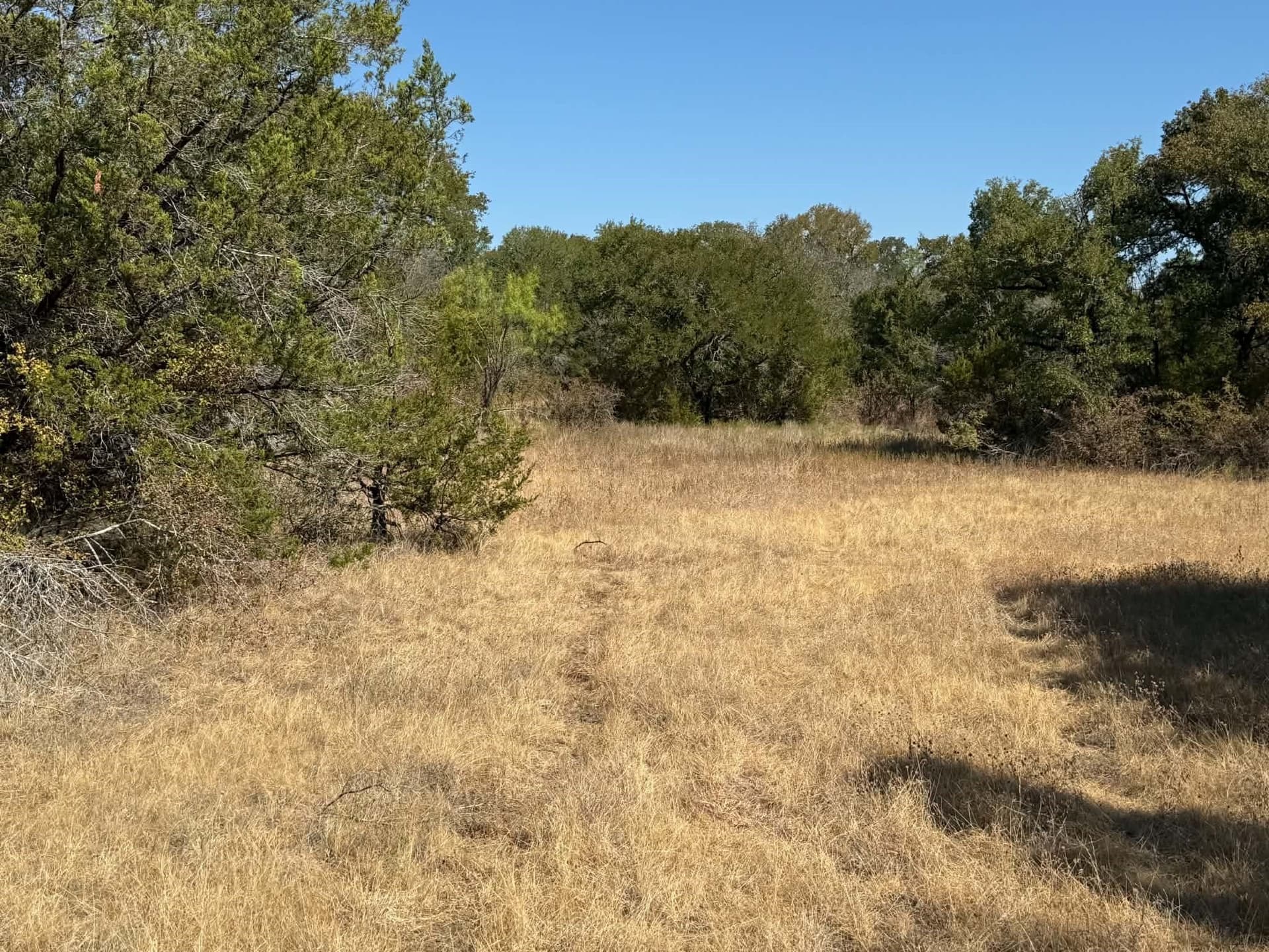 10 acres in Bosque County - photo 4