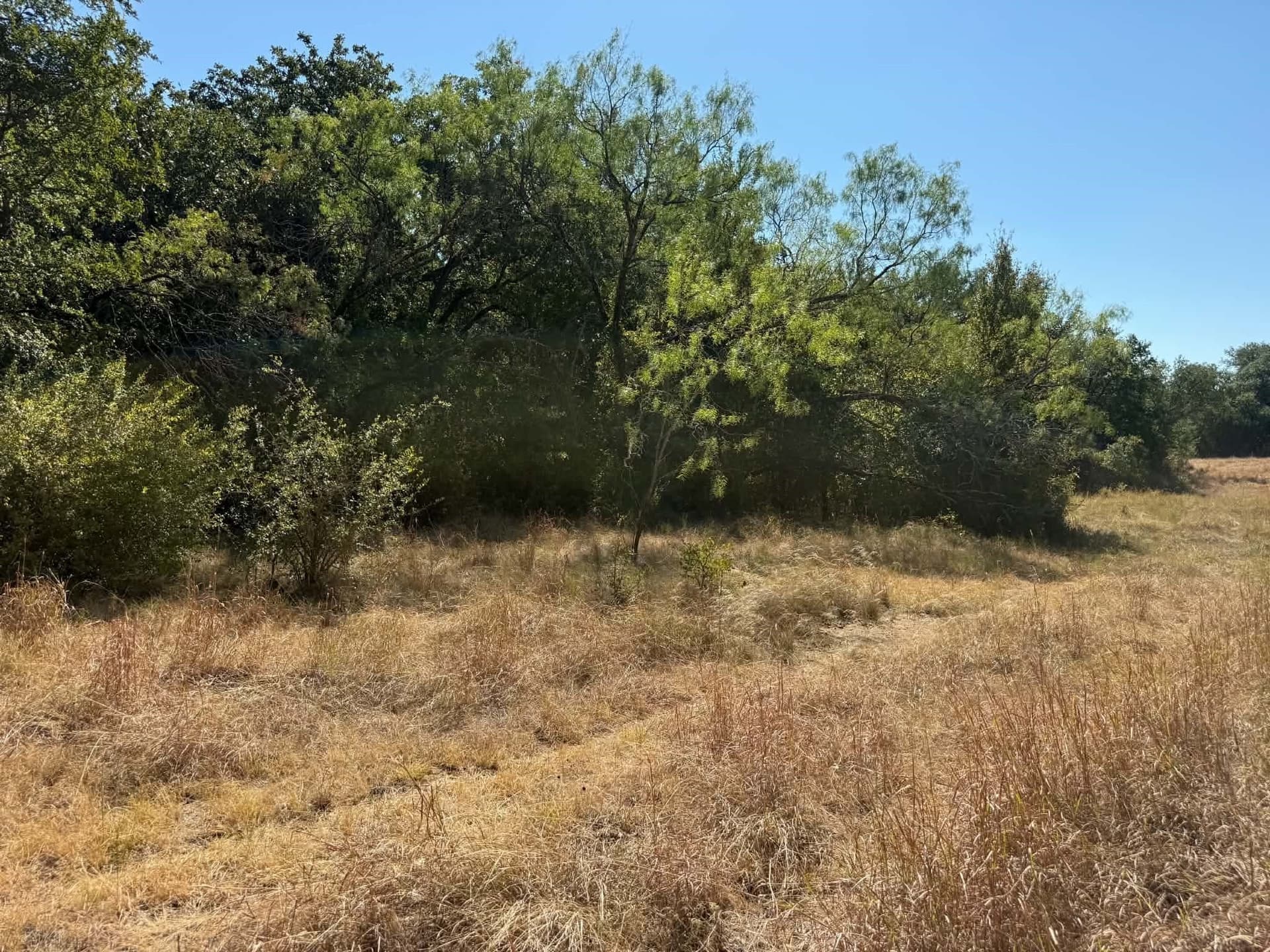 10 acres in Bosque County - photo 10