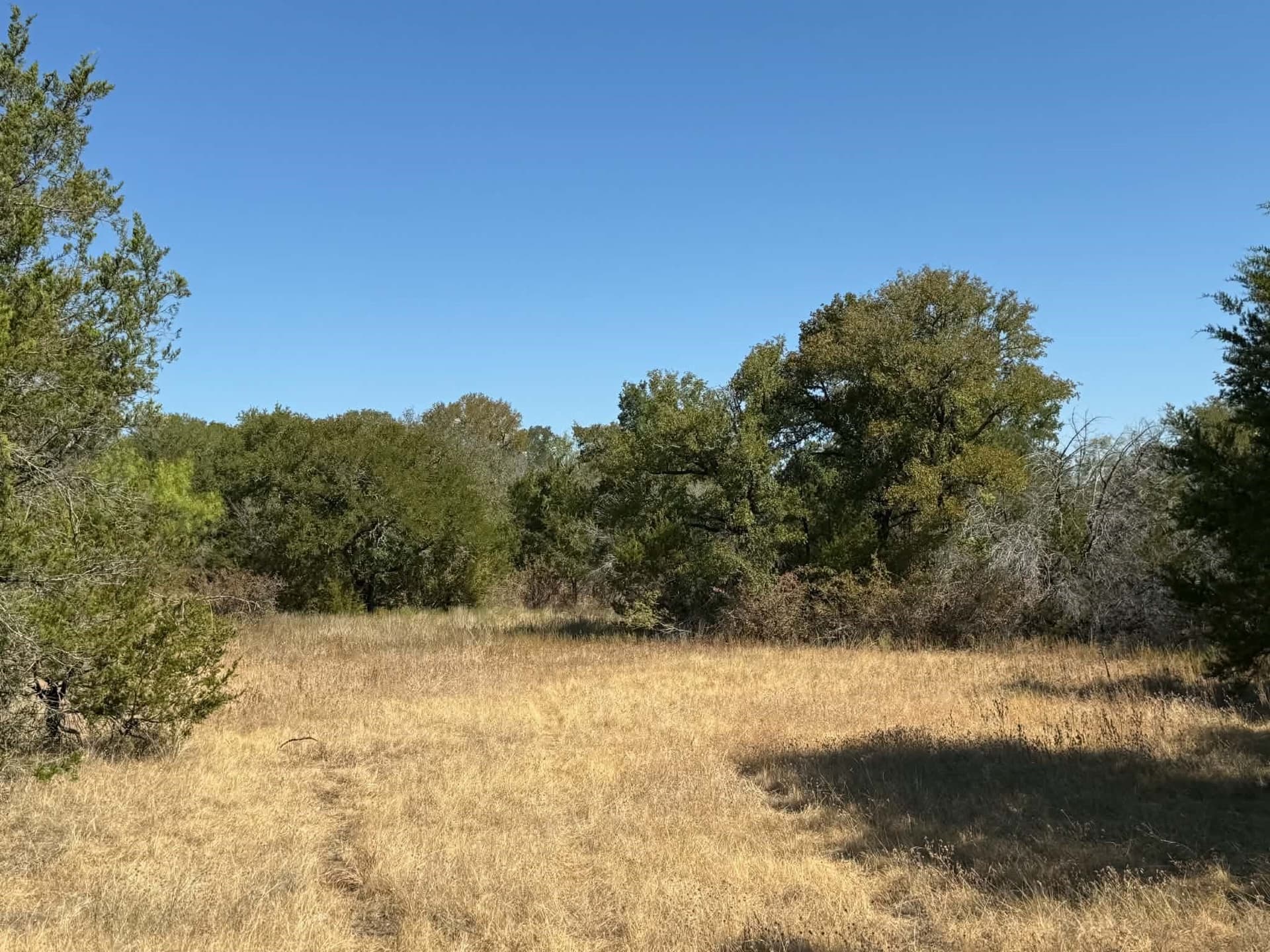 10 acres in Bosque County - photo 14