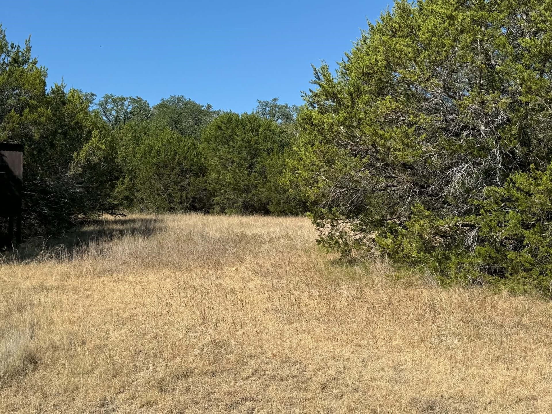 10 acres in Bosque County - photo 17