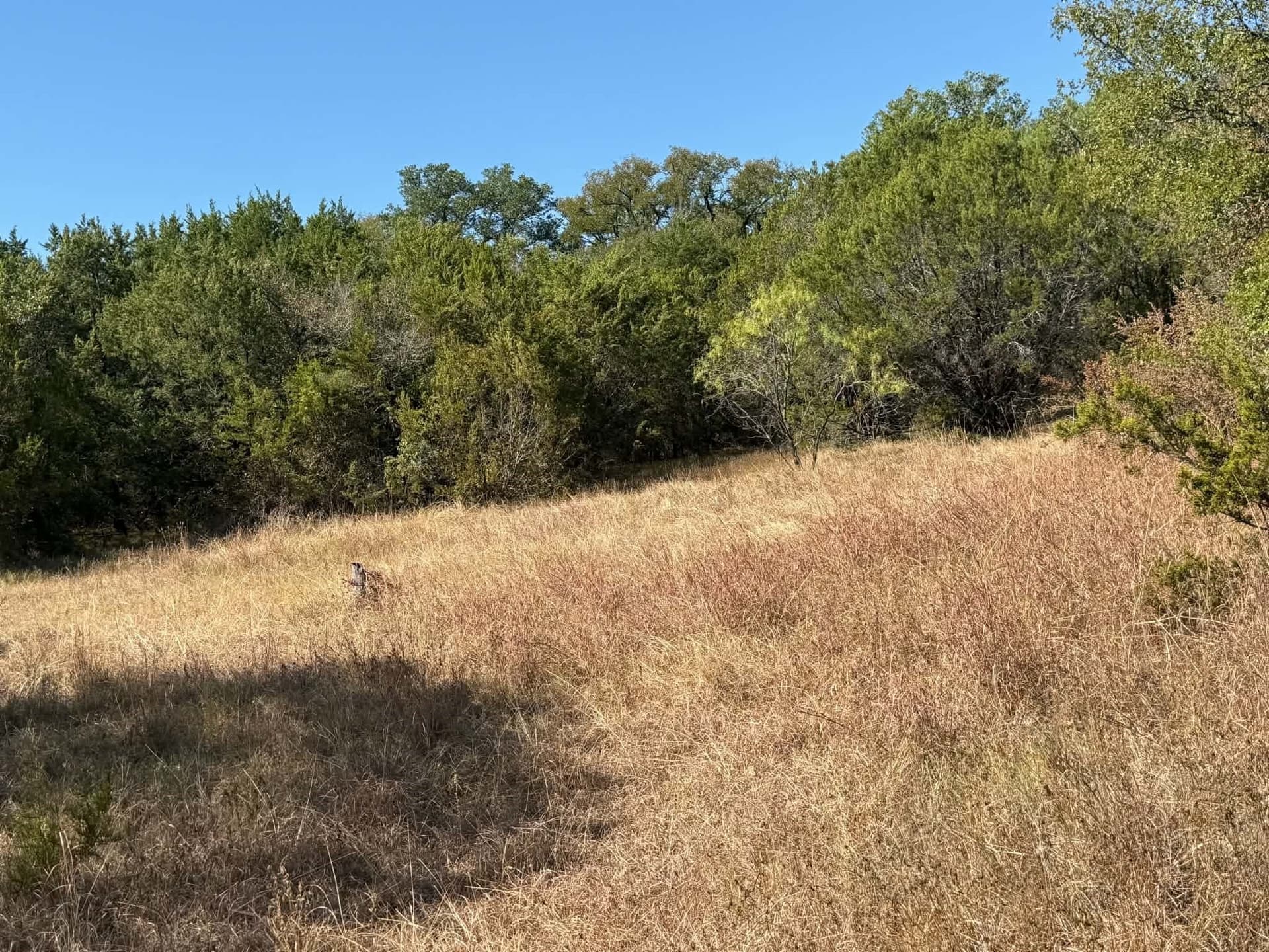 10 acres in Bosque County - photo 19
