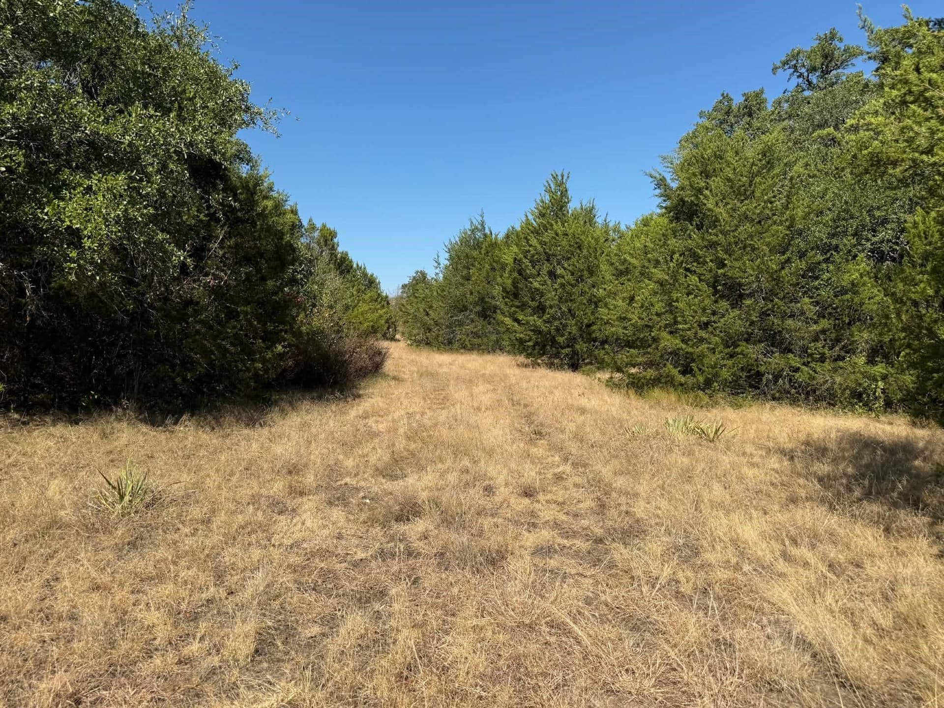 10 acres in Bosque County - photo 12