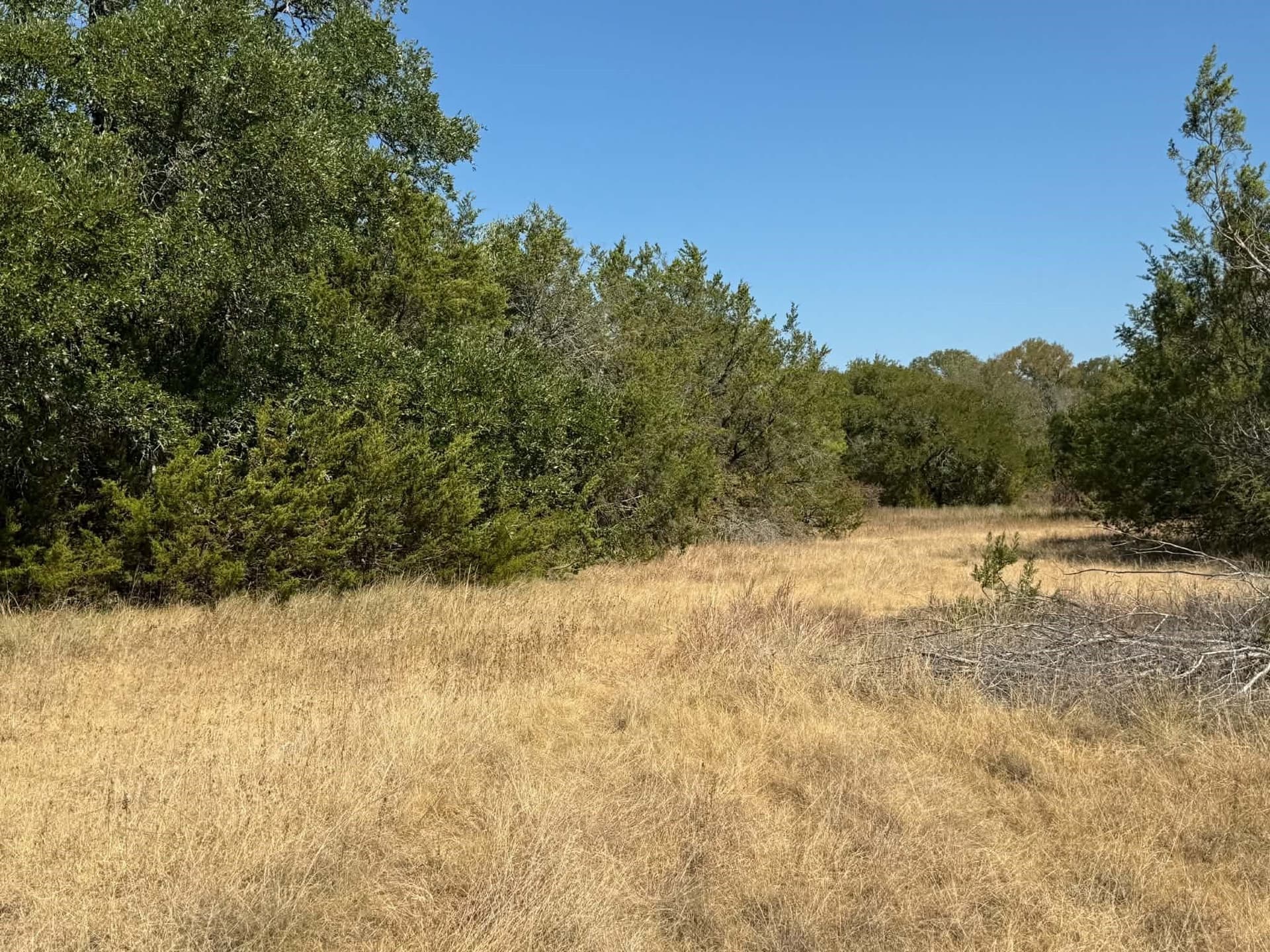 10 acres in Bosque County - photo 18