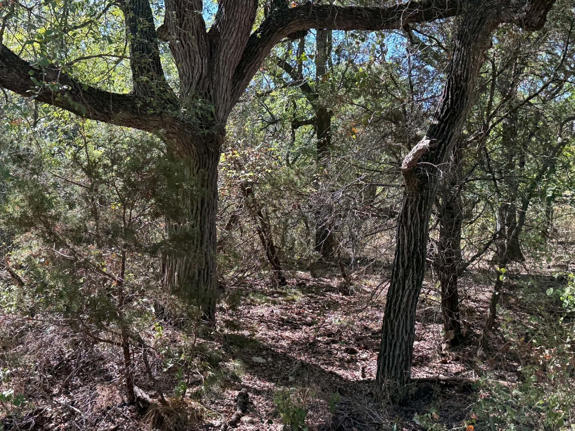 10 acres in Bosque County - photo 8