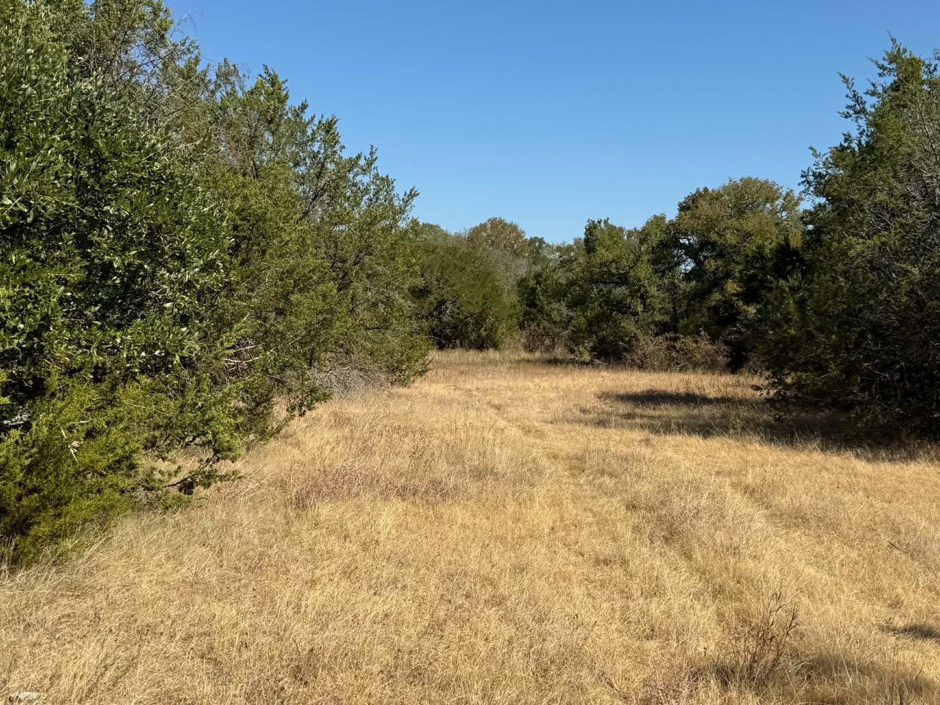 10 acres in Bosque County - photo 7