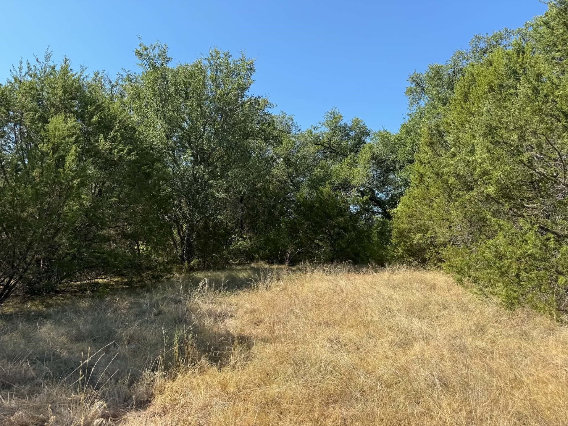 10 acres in Bosque County - photo 13