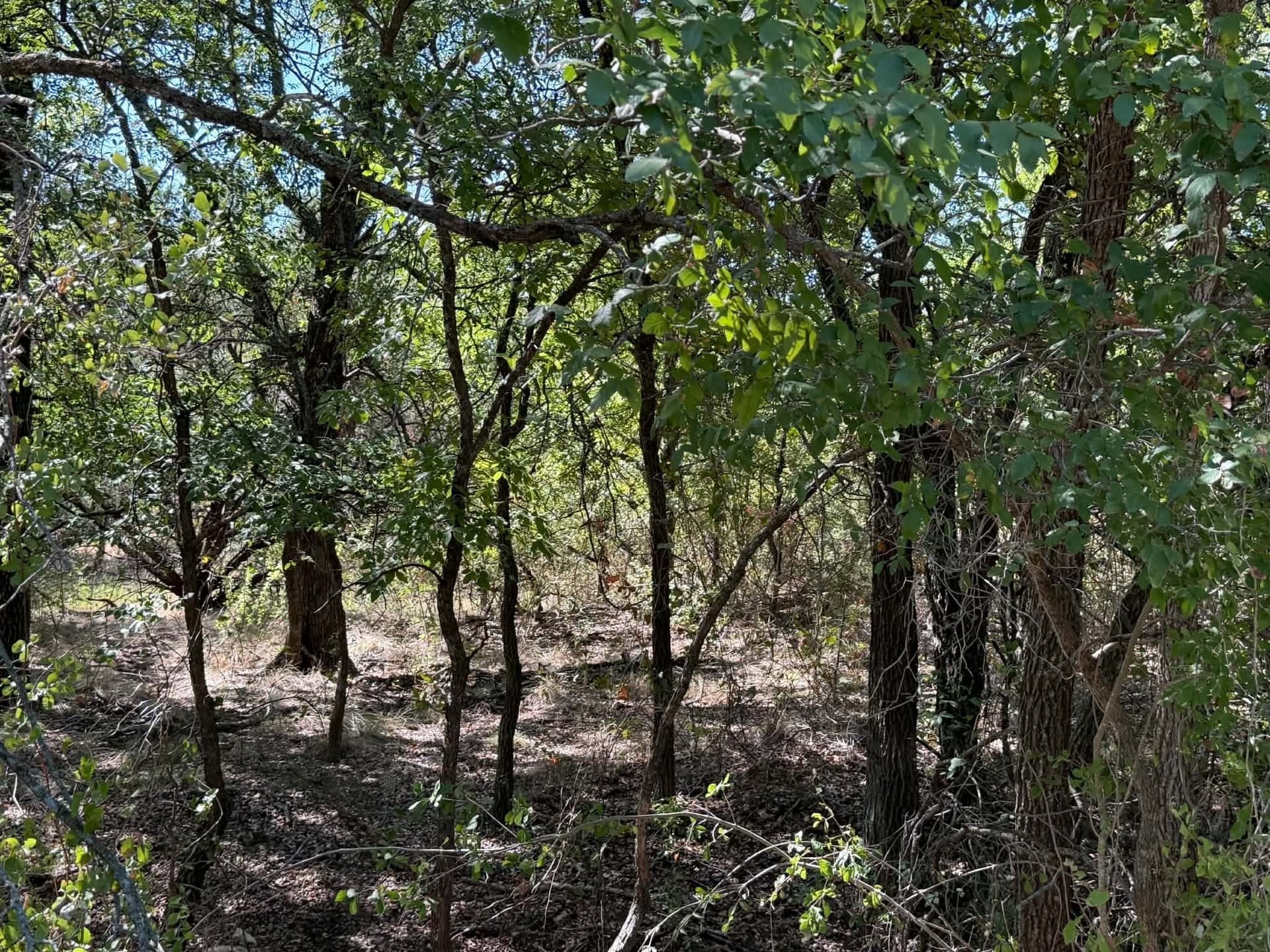 10 acres in Bosque County - photo 6