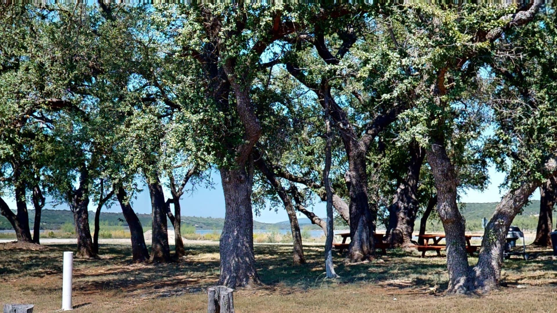 2.01 acres in Palo Pinto County - photo 19