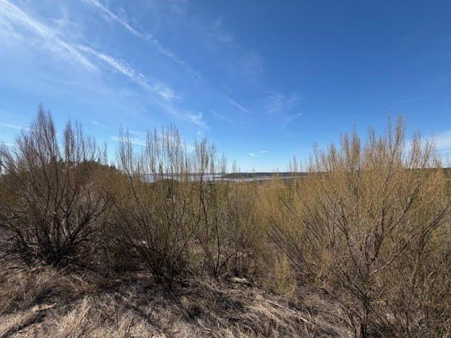 2.01 acres in Palo Pinto County - photo 4