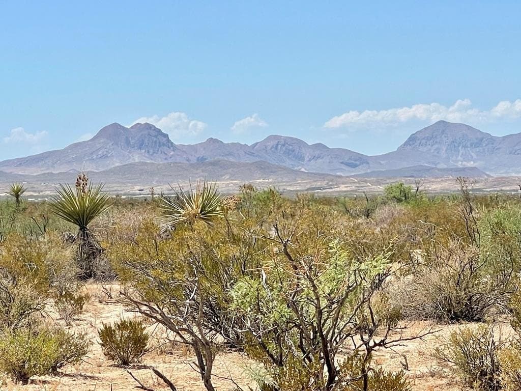 5 acres in Brewster County