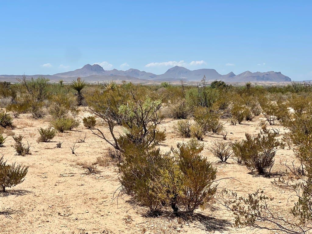 5 acres in Brewster County - photo 4