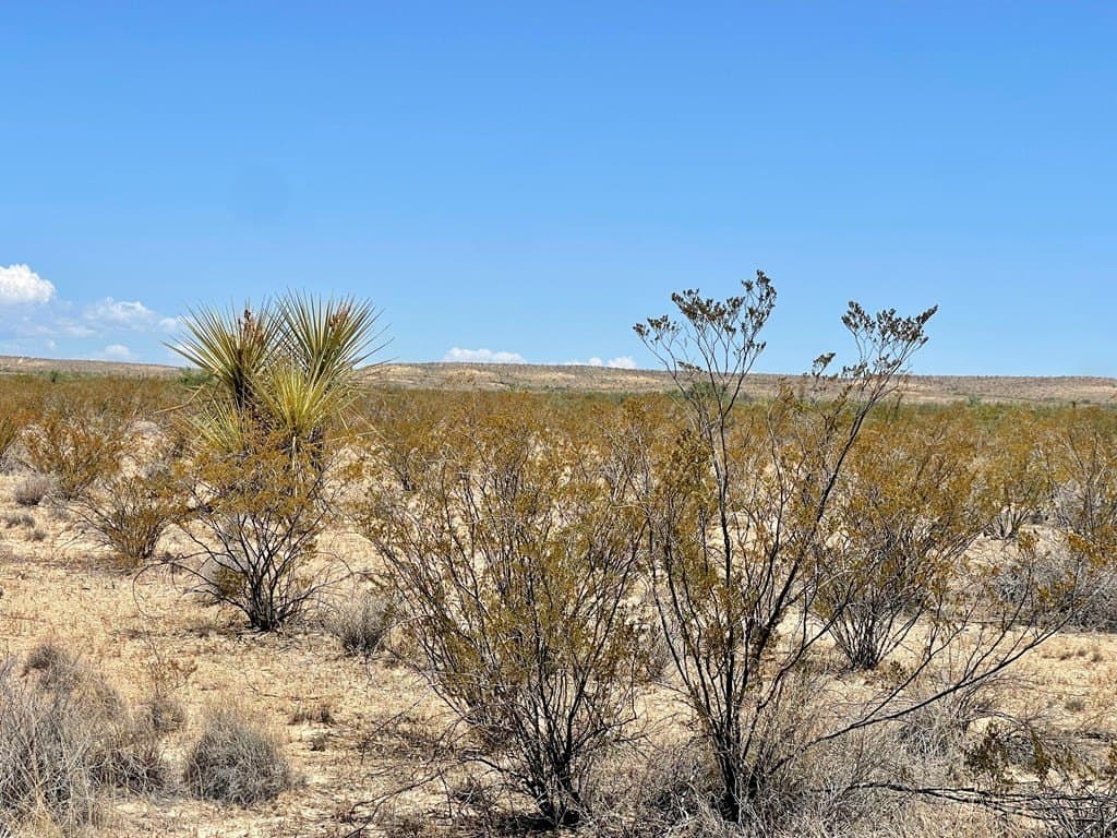5 acres in Brewster County - photo 7