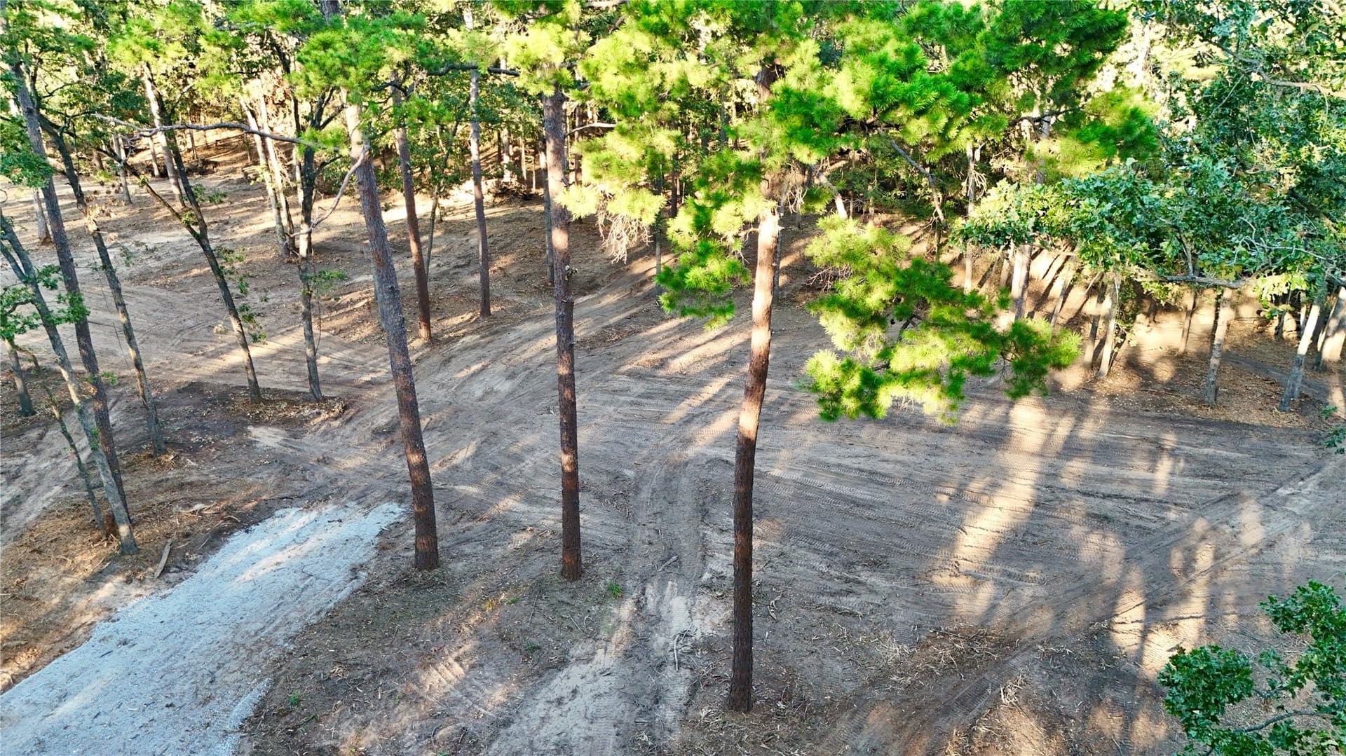 1 acres in Franklin (TX) County - photo 5