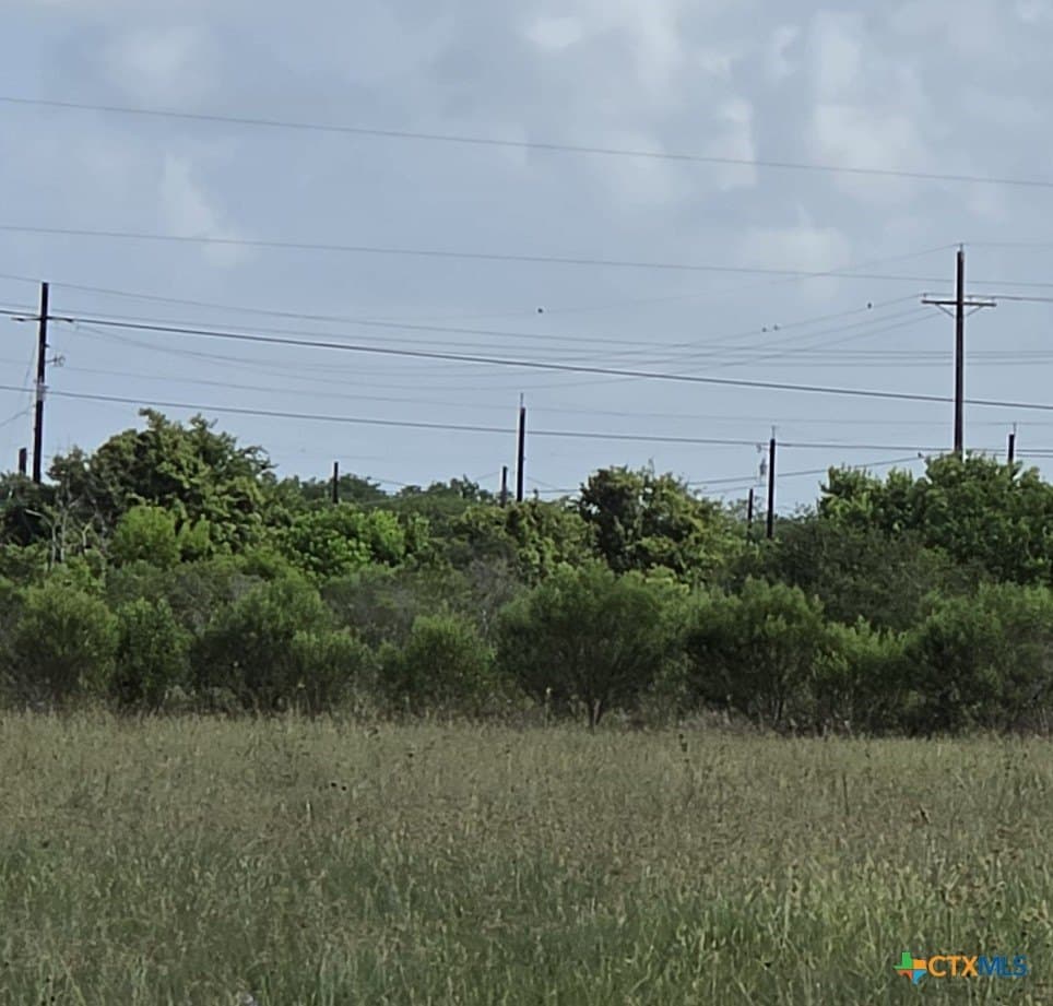 0.65 acres in Calhoun County gallery image 4
