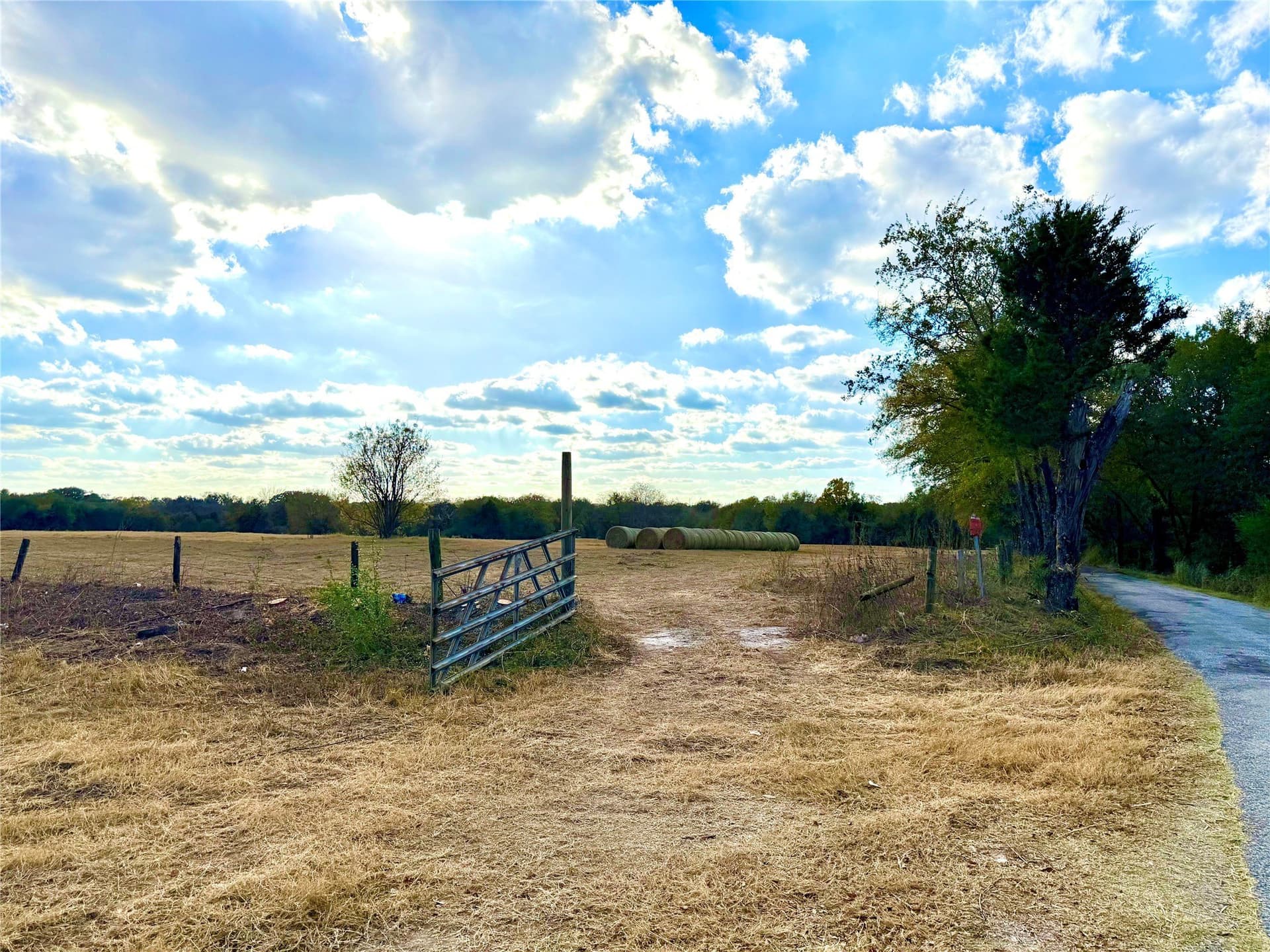 3.73 acres in Rains County gallery image 4