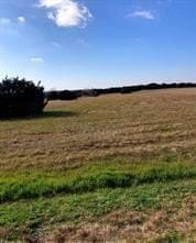 1.13 acres in Johnson County gallery image 3