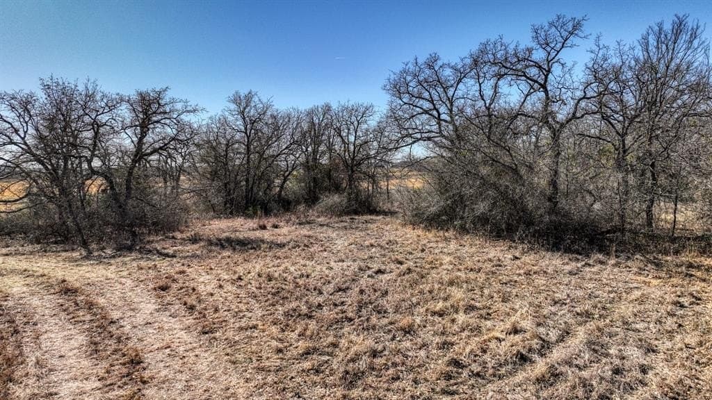29.19 acres in Wise County featured view