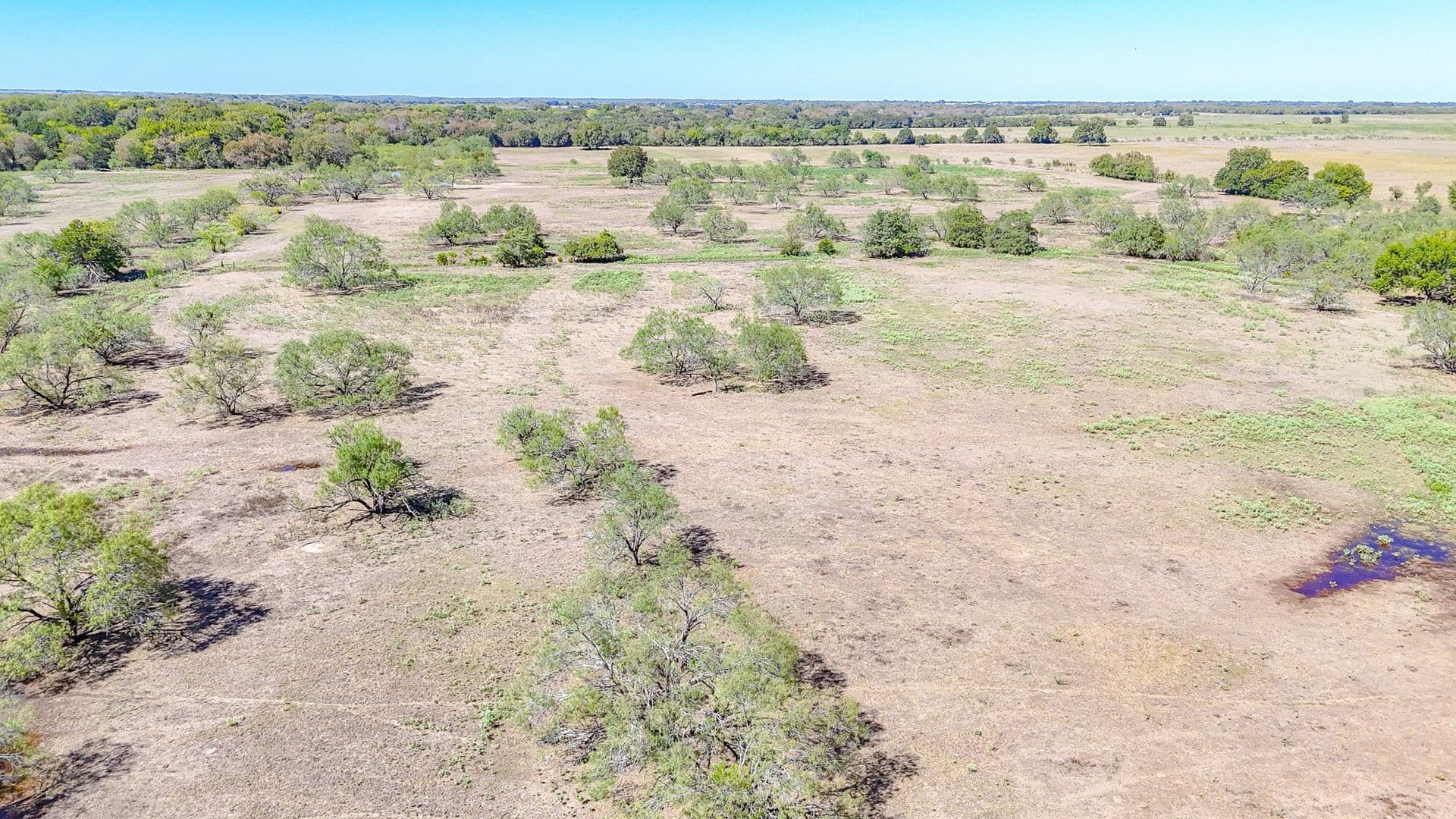 48.27 acres in Navarro County - photo 6