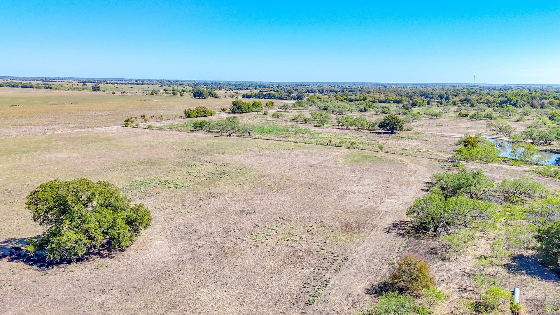 48.27 acres in Navarro County - photo 14