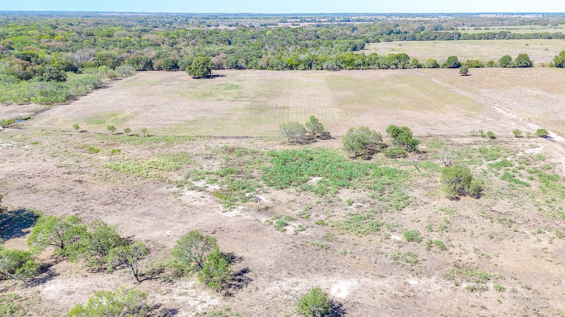 48.27 acres in Navarro County - photo 8
