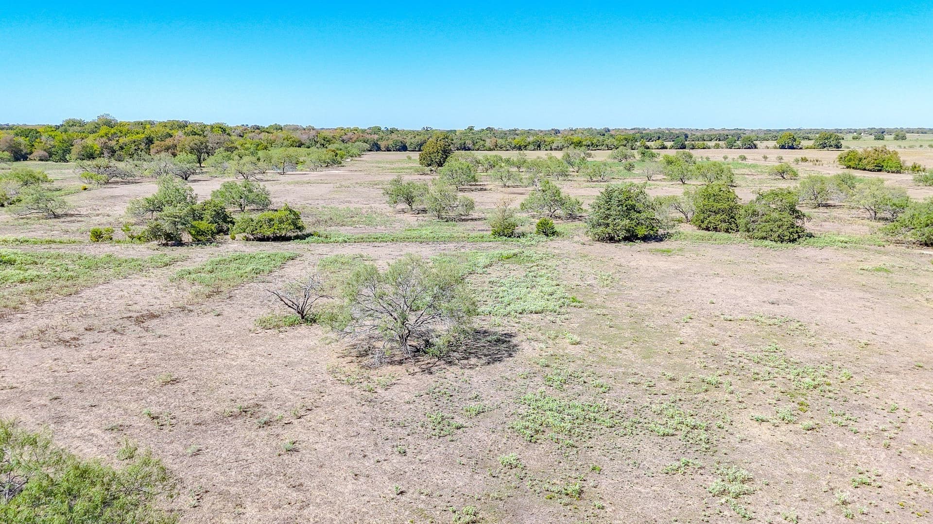 48.27 acres in Navarro County - photo 31