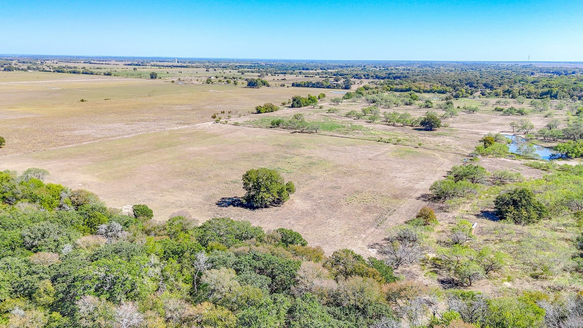 48.27 acres in Navarro County - photo 13