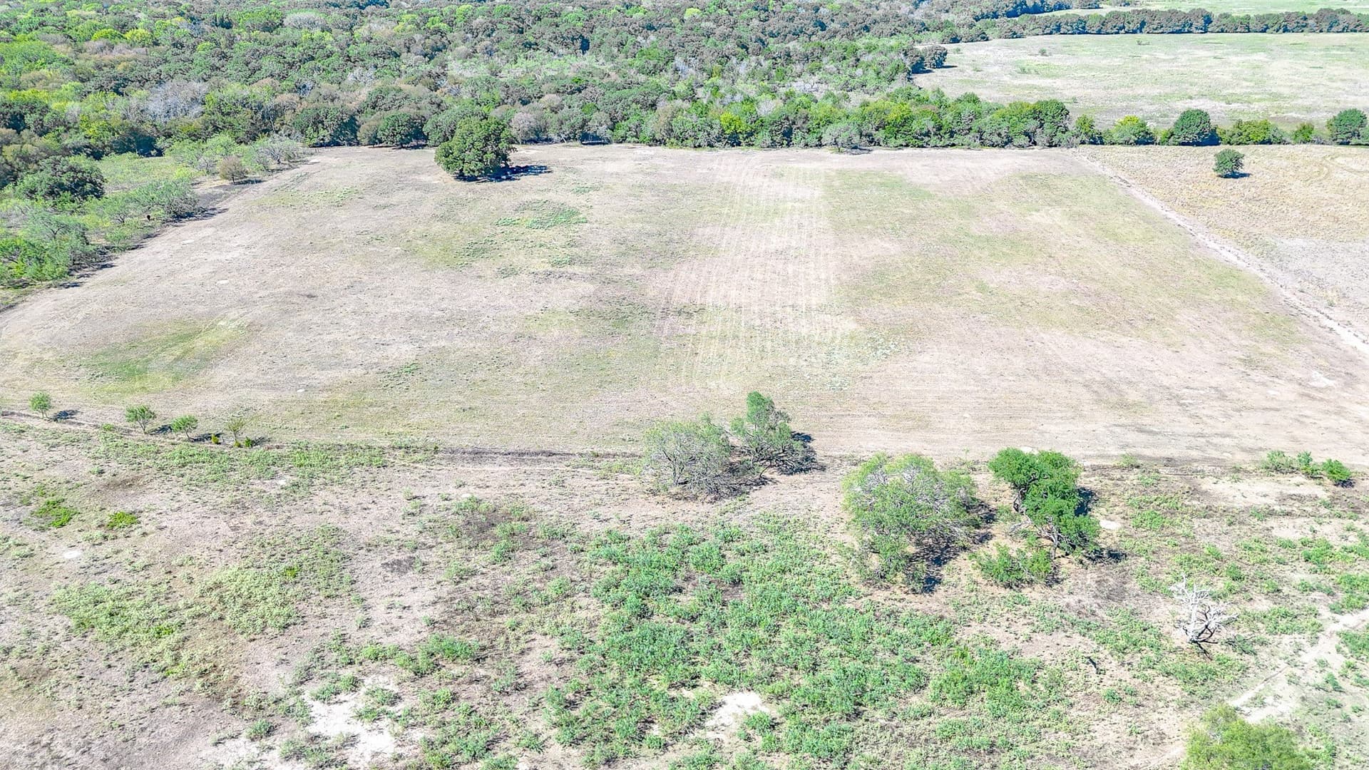 48.27 acres in Navarro County - photo 9