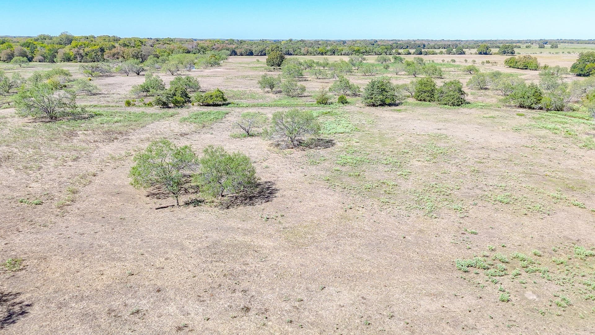 48.27 acres in Navarro County - photo 7