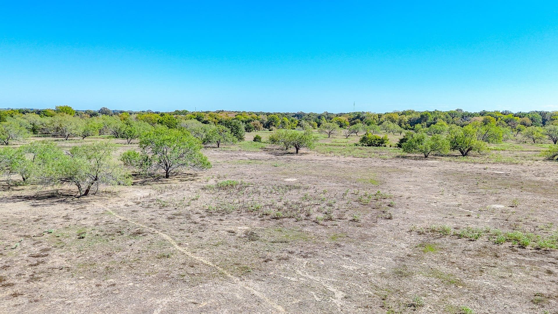 48.27 acres in Navarro County - photo 17