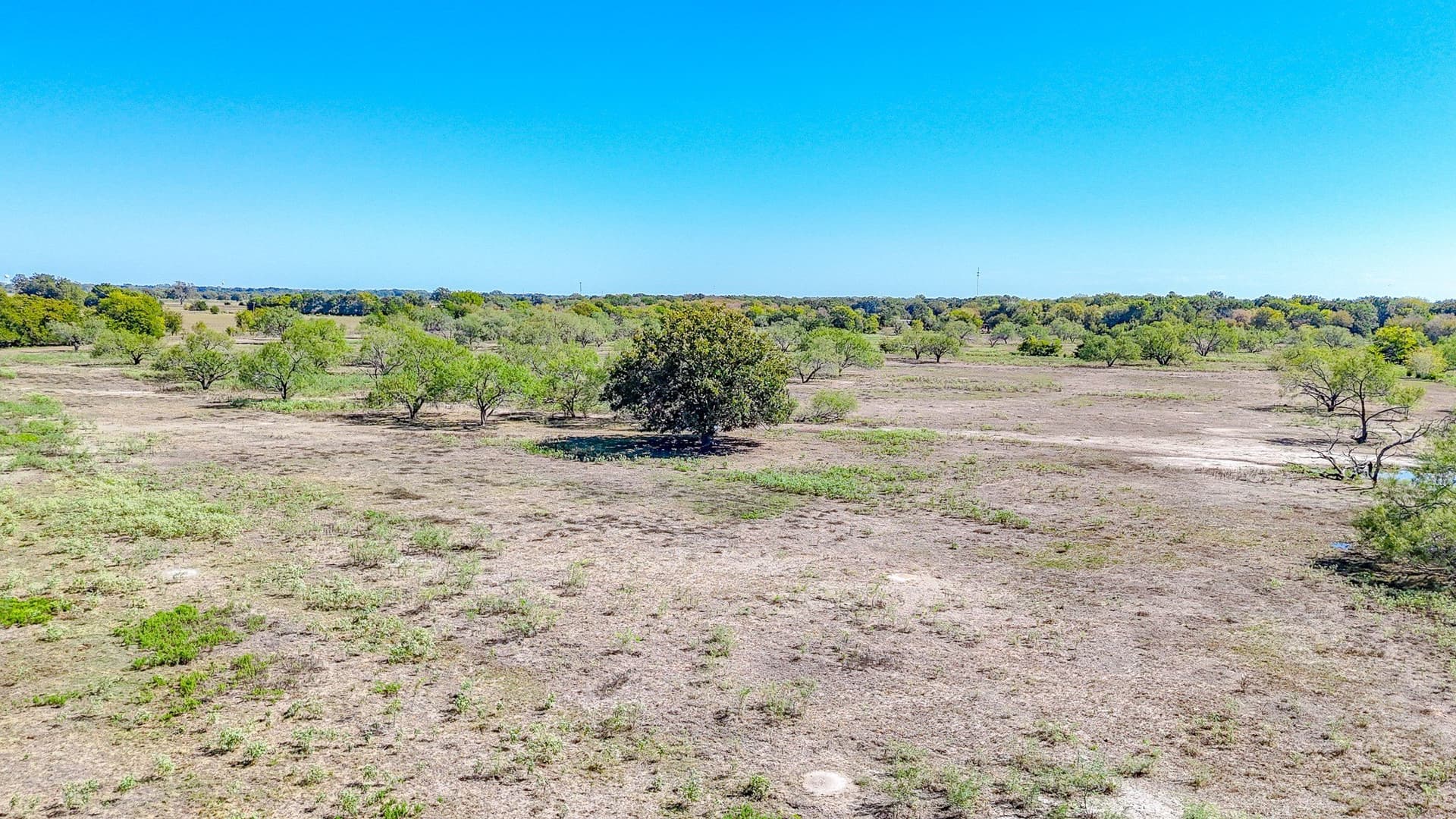 48.27 acres in Navarro County - photo 16