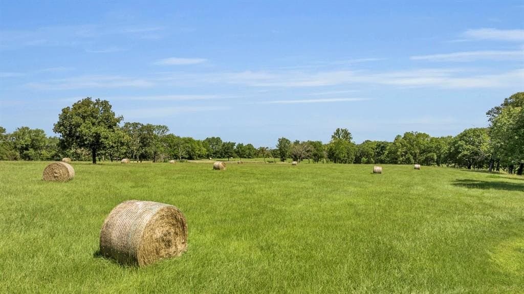 28.89 acres in Wood County gallery image 4