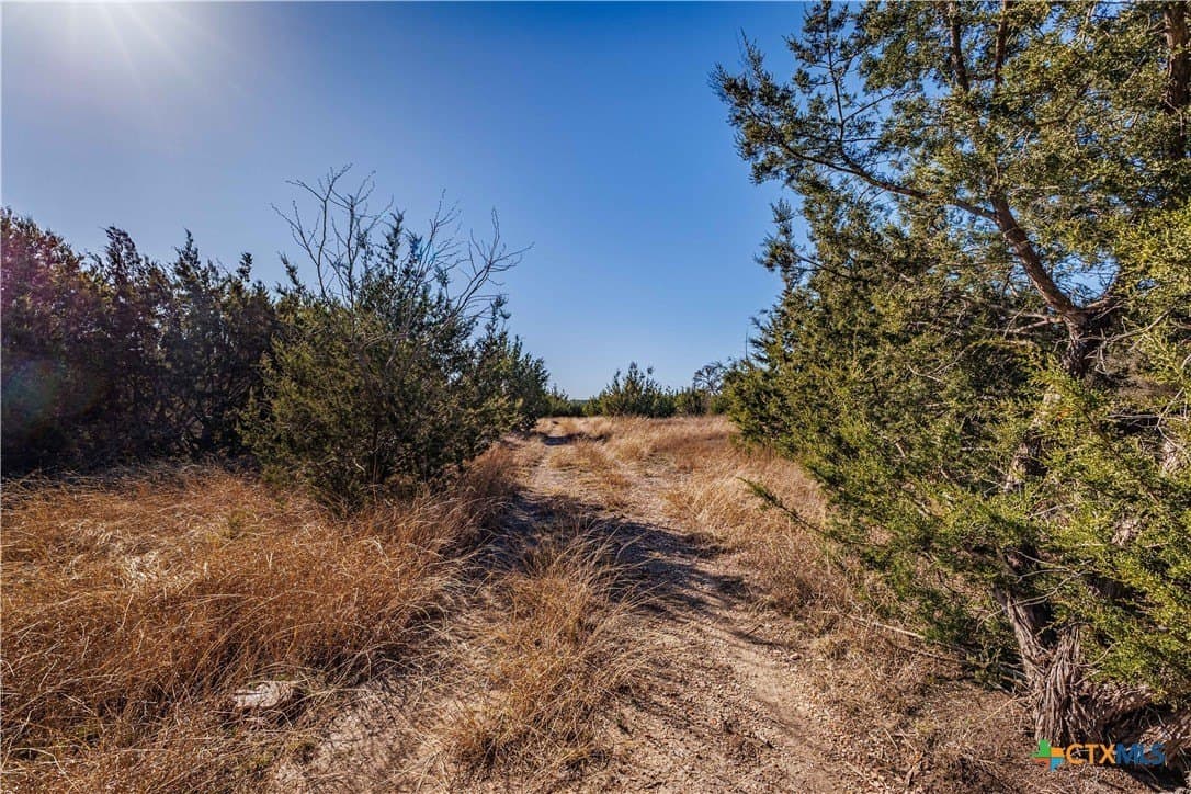 95.91 acres in Coryell County - photo 15