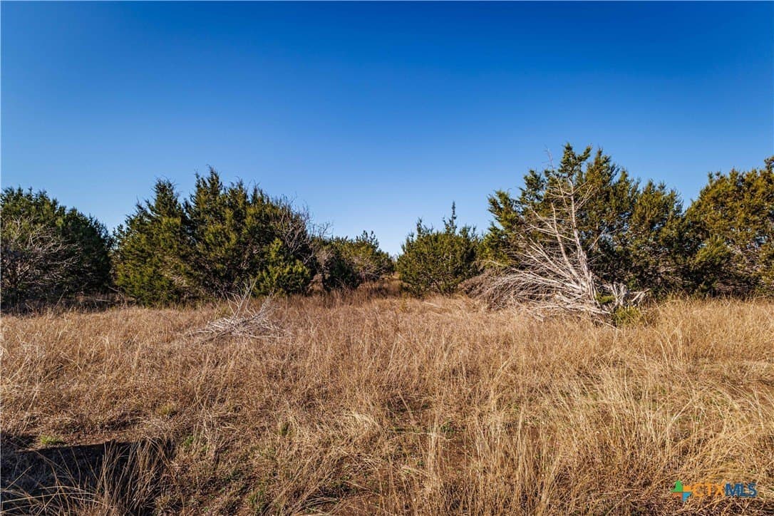 95.91 acres in Coryell County - photo 17