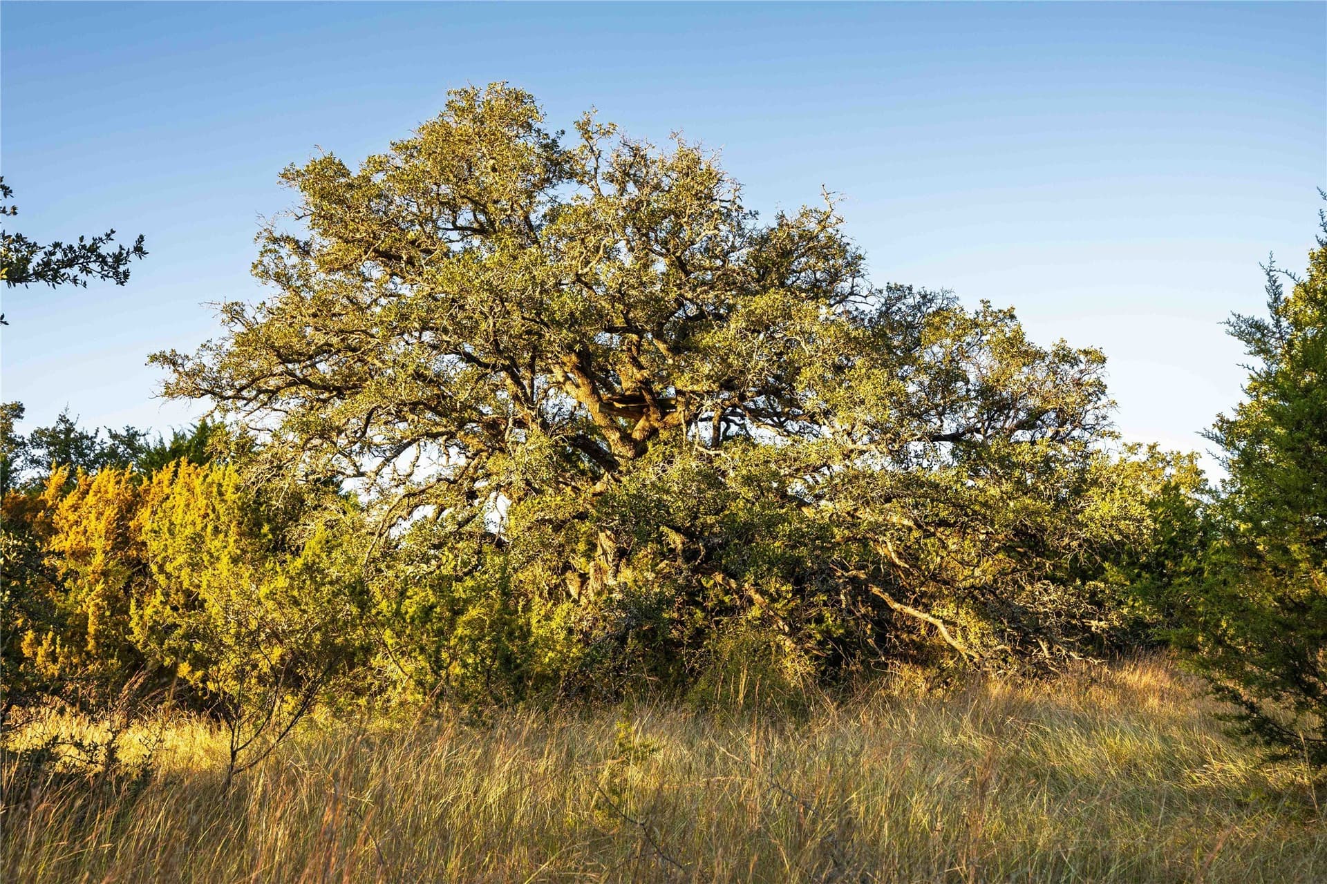 257 acres in Comanche County - photo 30