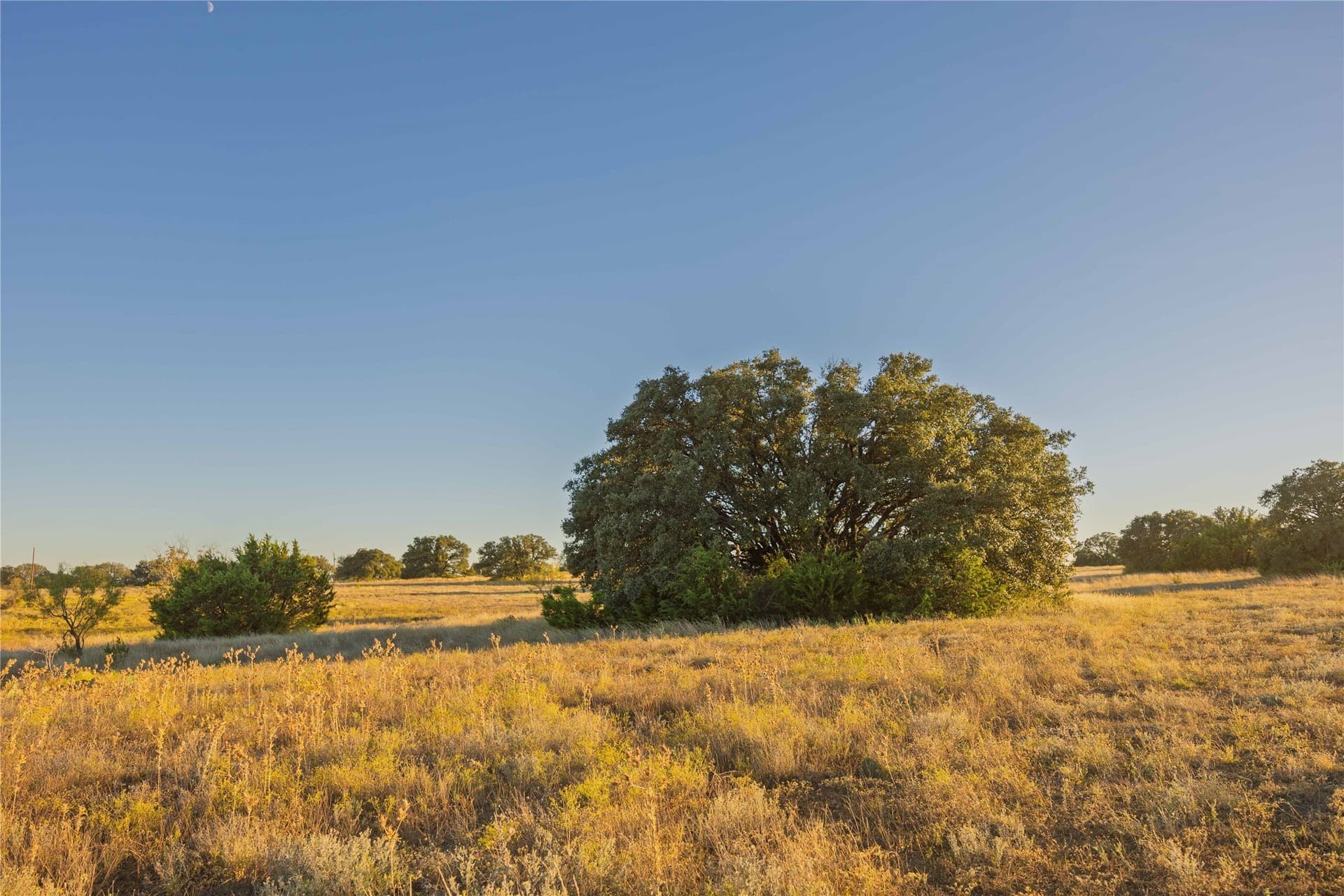 257 acres in Comanche County - photo 33